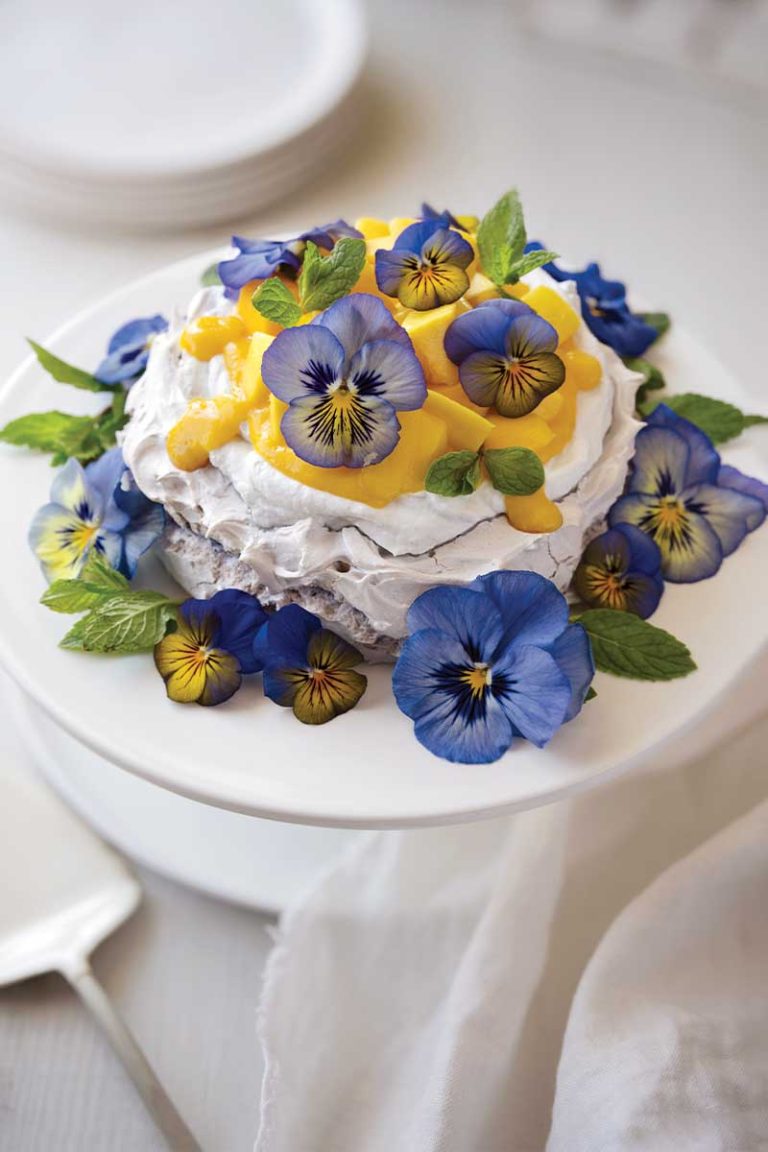 Aquafaba pavlova with coconut cream