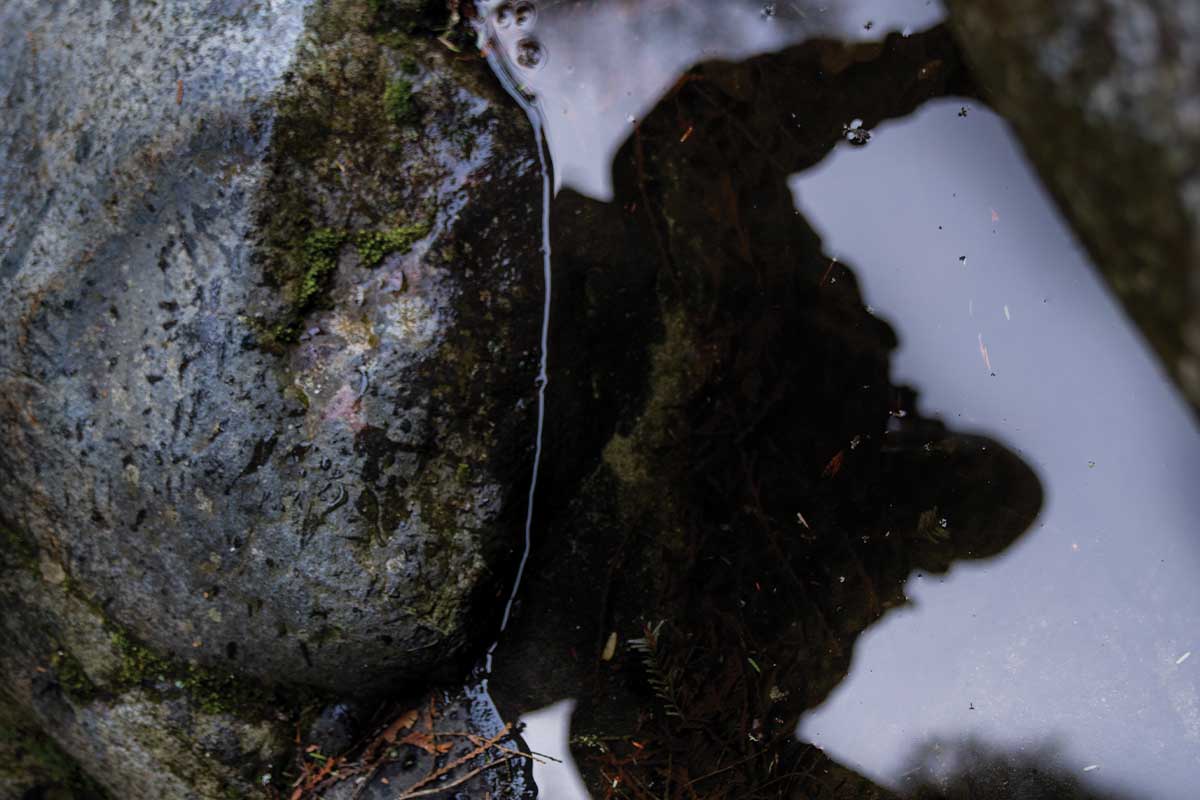 Working with your shadows