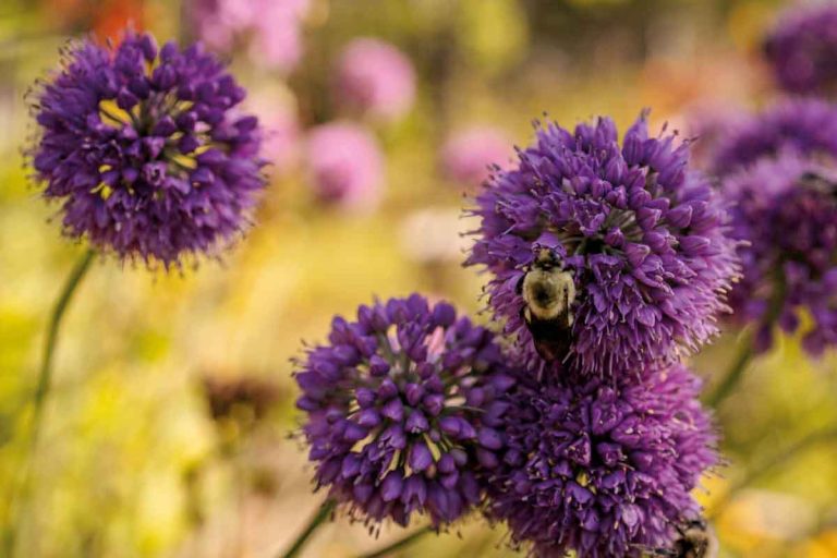 Summer lifestyle prep