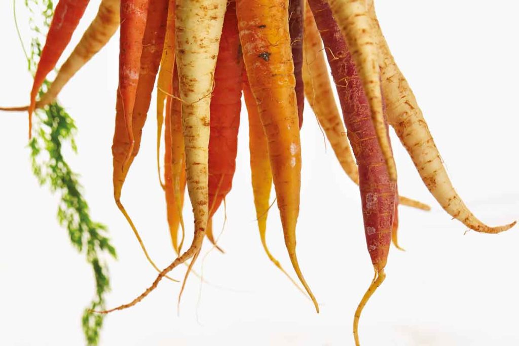 Nutrition and mental health