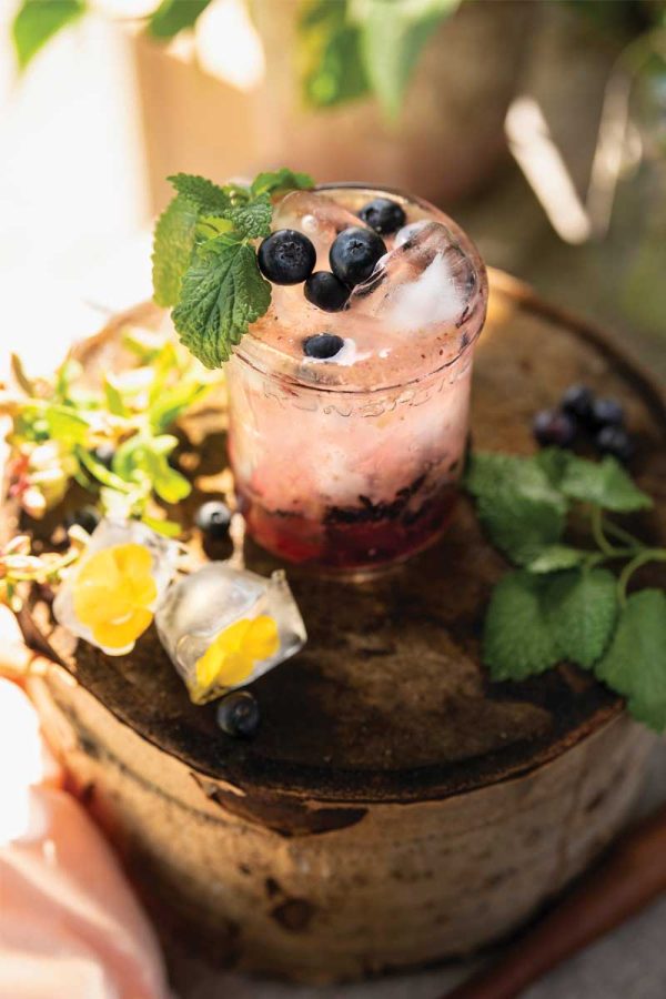 Saskatoon ginger spritz