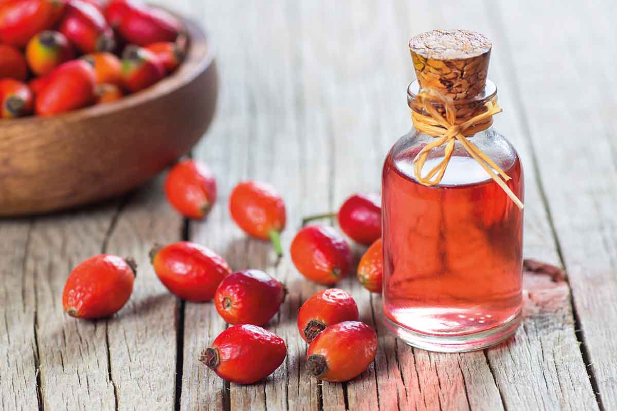 Now trending carbon plate runners