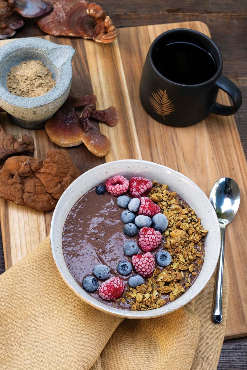 Cocoa Reishi Smoothie Bowl - Delicious Living