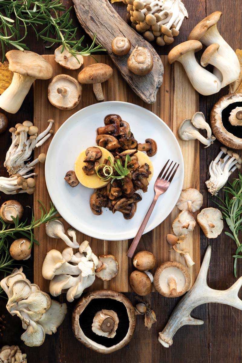 Creamy Polenta with Braised Savory Mushrooms - Delicious Living